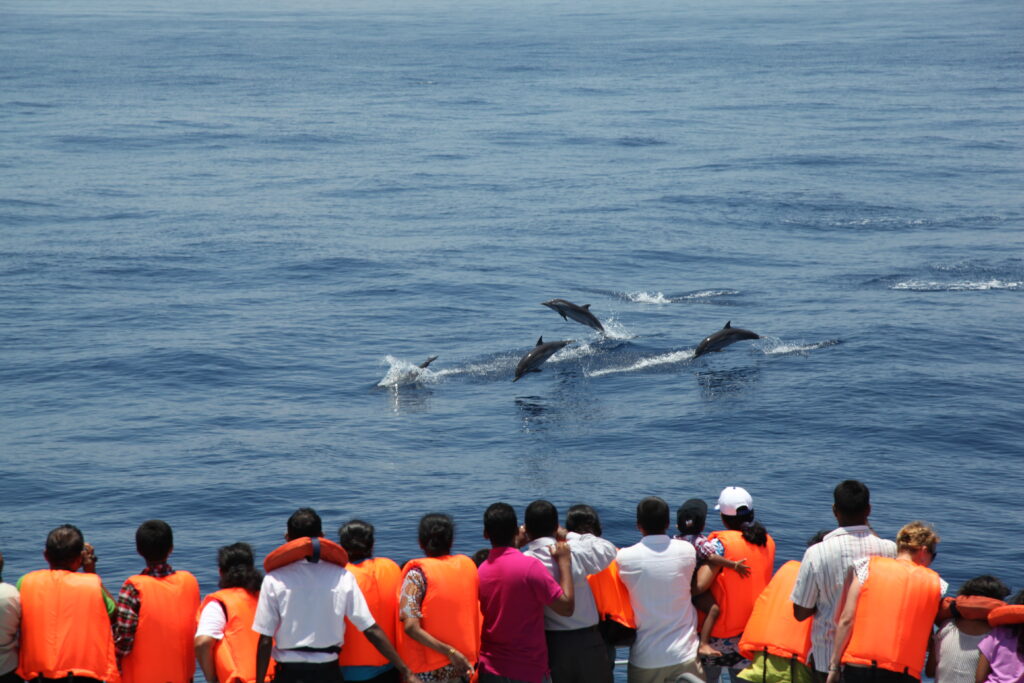 Mirissa: The Soul of the South Coast