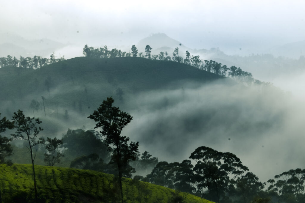 Ella Sri Lanka Tours with Ceylonaa Holidays